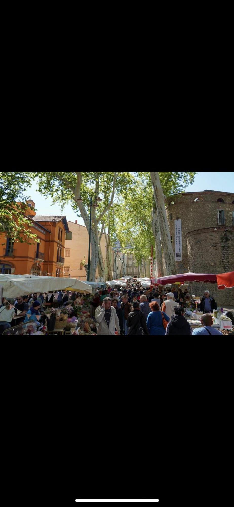 Maison De Vacances Le Bosquet Céret Zewnętrze zdjęcie